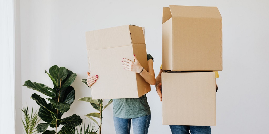 Two people holding boxes for moving house, stood in a room with white painted walls and a few houseplants beside them