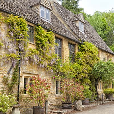 Traditional natural stone cottages with lilac wisteria and other shrubs and trees in front of them